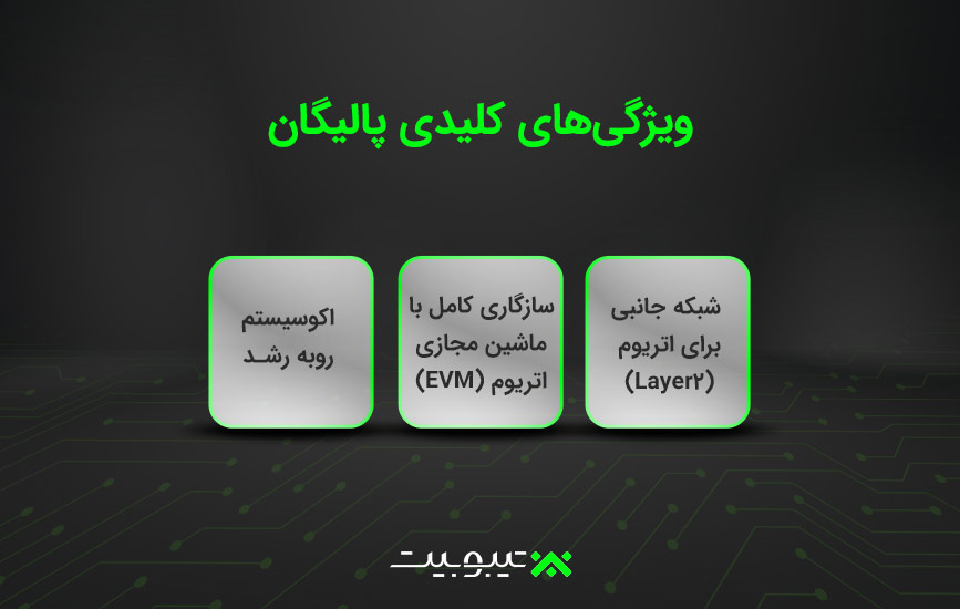 ویژگیهای کلیدی پالیگان