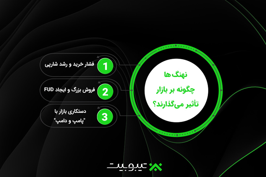نهنگ‌ها چگونه بر بازار تأثیر می‌گذارند؟